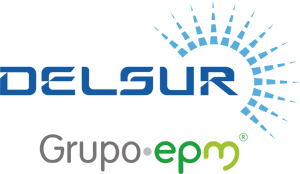 DELSUR